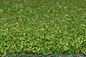 Het Tapijt Kunstmatig Gras 13mm van het golfgras voor Multi het Golfgras van het Gebruiks Kunstmatig Gras leverancier