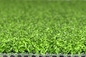 Het Tapijt Kunstmatig Gras 13mm van het golfgras voor Multi het Golfgras van het Gebruiks Kunstmatig Gras leverancier