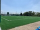 Van het het Grasvoetbal van FIFA het Gras Synthetisch Gras voor Voetbal 50mm Stapelhoogte leverancier