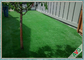 De Binnenplaats die van de tuingezondheid Synthetisch Gras Zacht Gemakkelijk Onderhoud modelleren leverancier