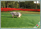 Woon/Commercieel het Modelleren Huisdieren Kunstmatig Gras met Monofil PE Krullend PPE Materiaal leverancier