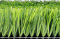 Groen van de het Grasvoetbal van FIFA Gras 60mm Voetbal Kunstmatig Gras leverancier