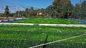 Fifa keurde Kunstmatig Gras 50mm Voetbal goed Kunstmatig Gras voor Voetbal leverancier